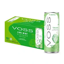 Voss Lime Mint Sparkling Water