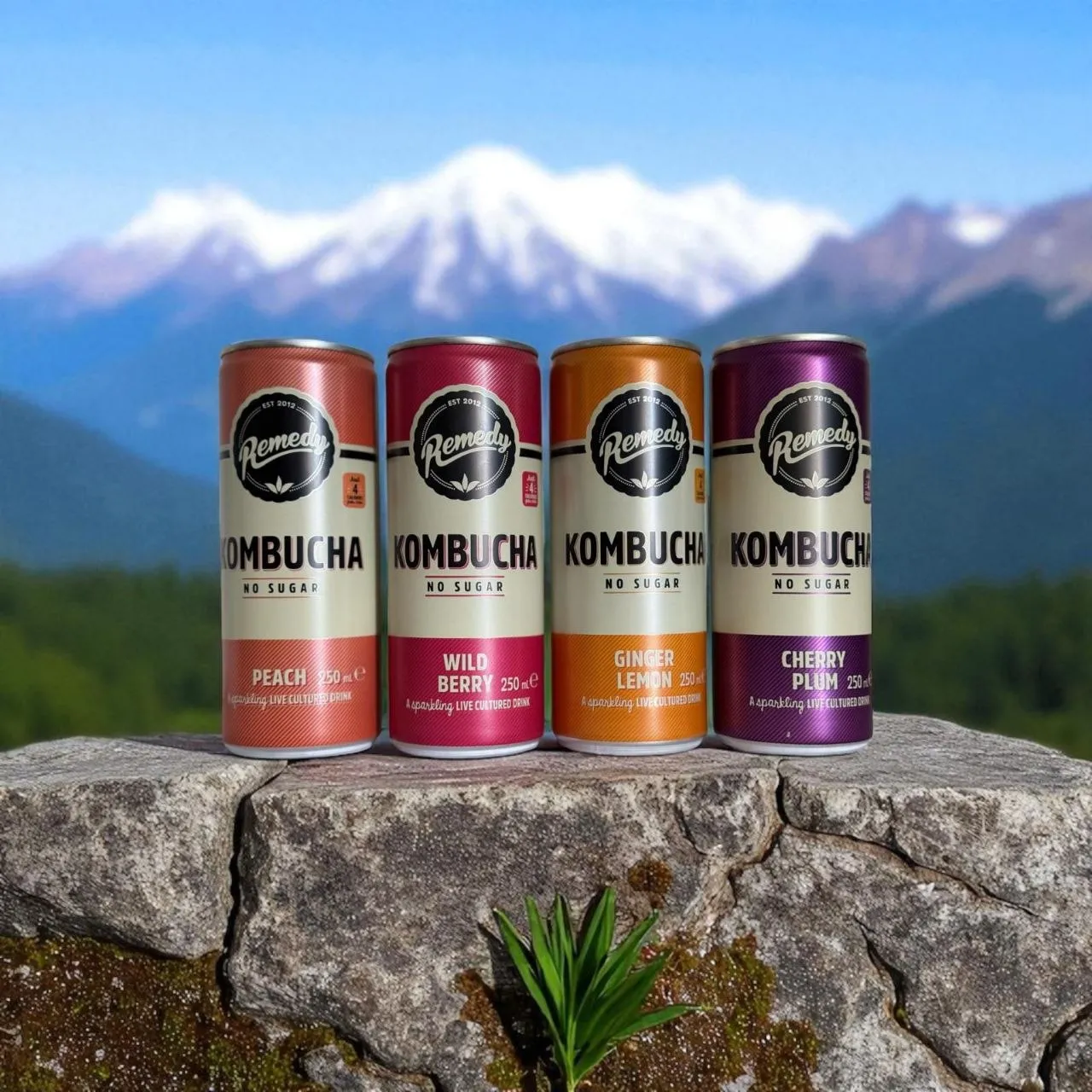Premium Organic Kombucha